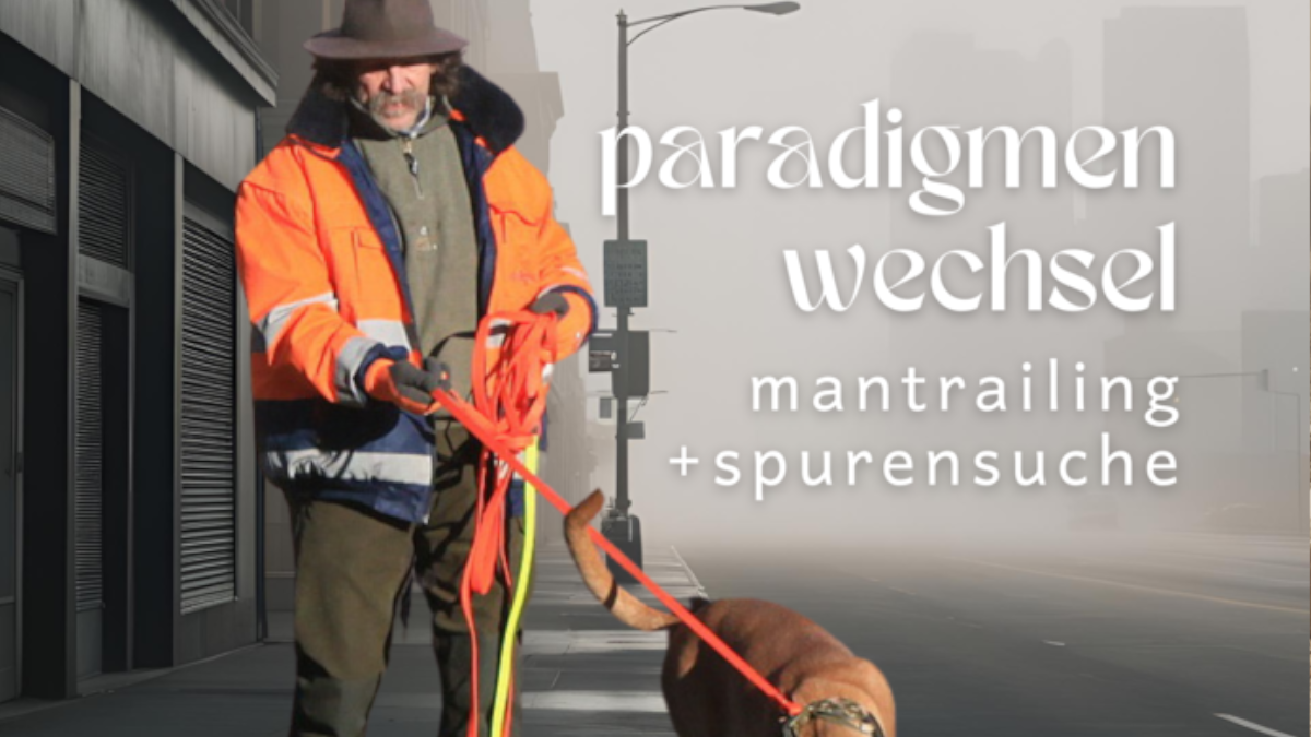 Der Paradigmenwechse